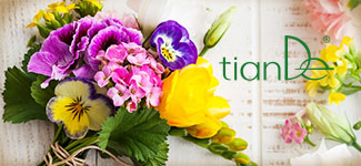 We sincerely congratulate you on the international women's day!