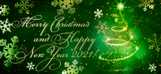 Merry Christmas and Happy New Year 2021!
